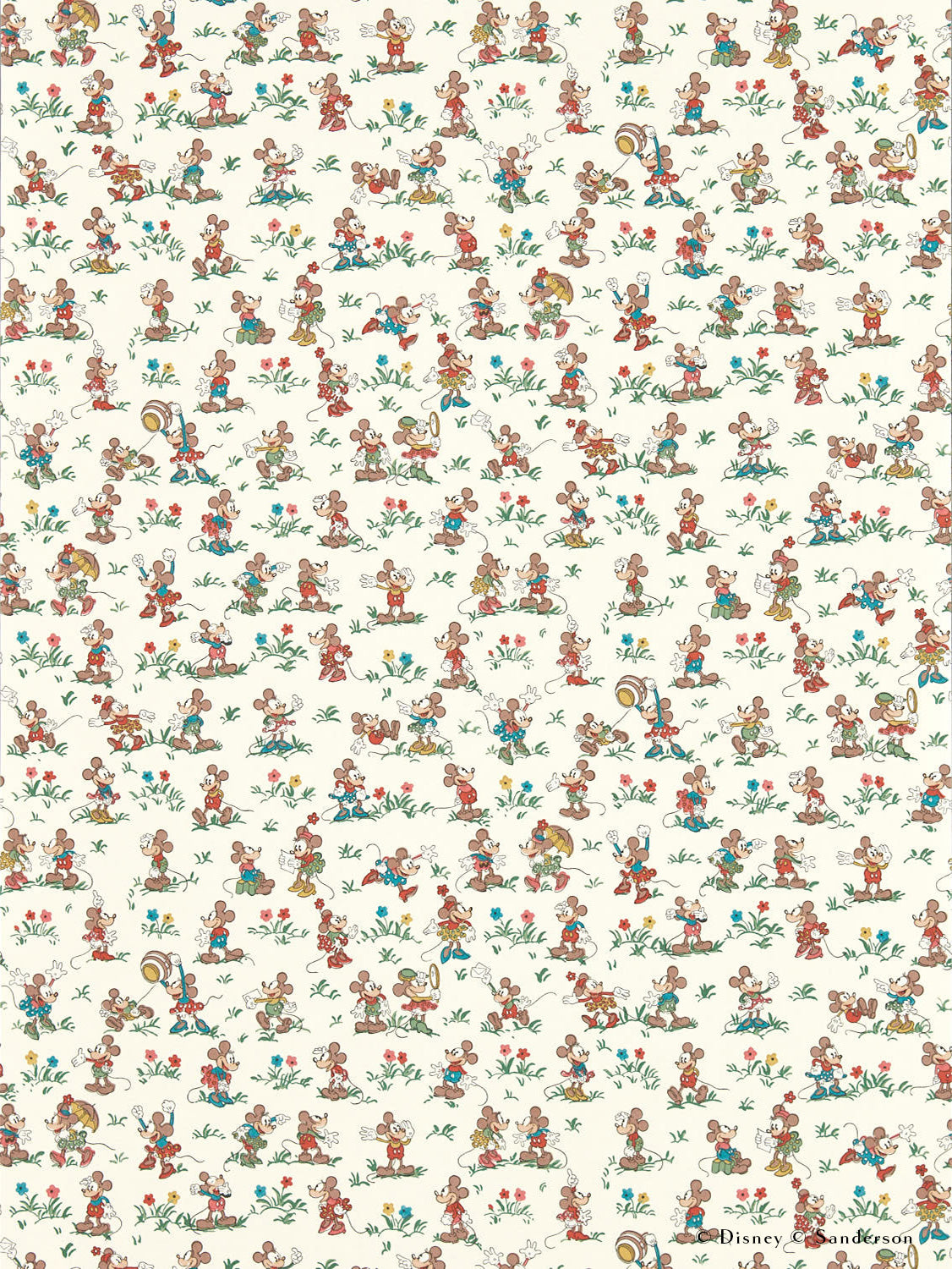 Zoom