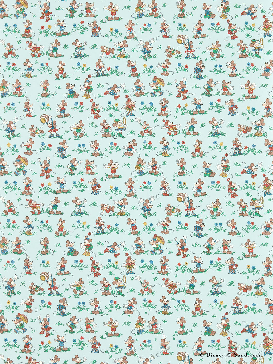 Zoom