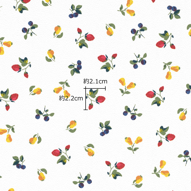 【1mサンプル】Emil & Hugo / FRUITS 288239 (PETITE FLEUR 5)