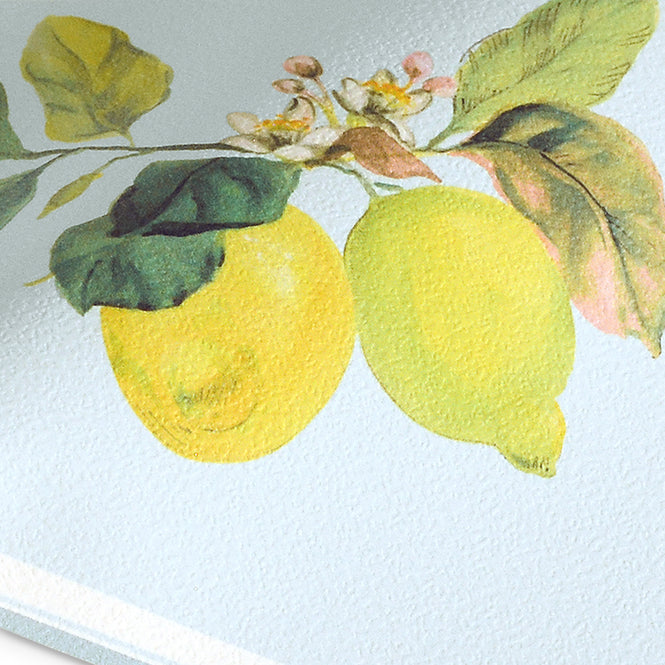 Emil & Hugo / LEMON 288550 (PETITE FLEUR 5) (トリム)