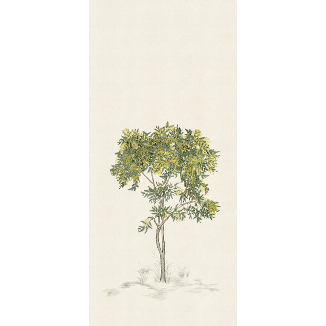 Isidore Leroy / ARBUSTES Naturel Mimosa 6248302【3パネル1セット】