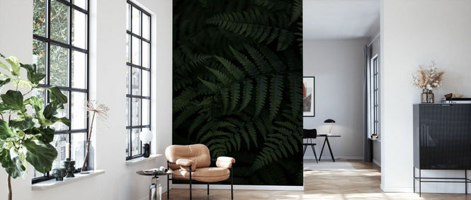 PHOTOWALL / Ferns in the Dark (e93096)