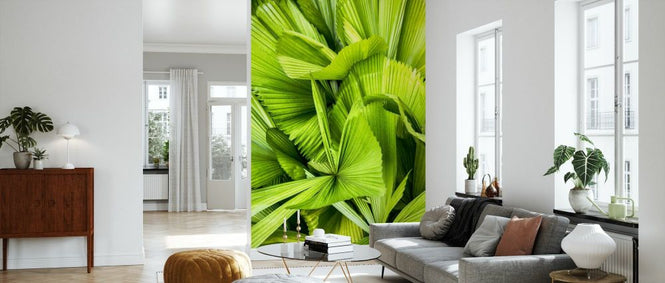 PHOTOWALL / Dreamy Bali - Palm Leaves (e93147)