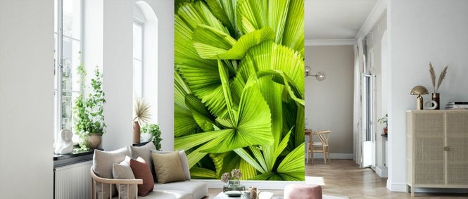 PHOTOWALL / Dreamy Bali - Palm Leaves (e93147)