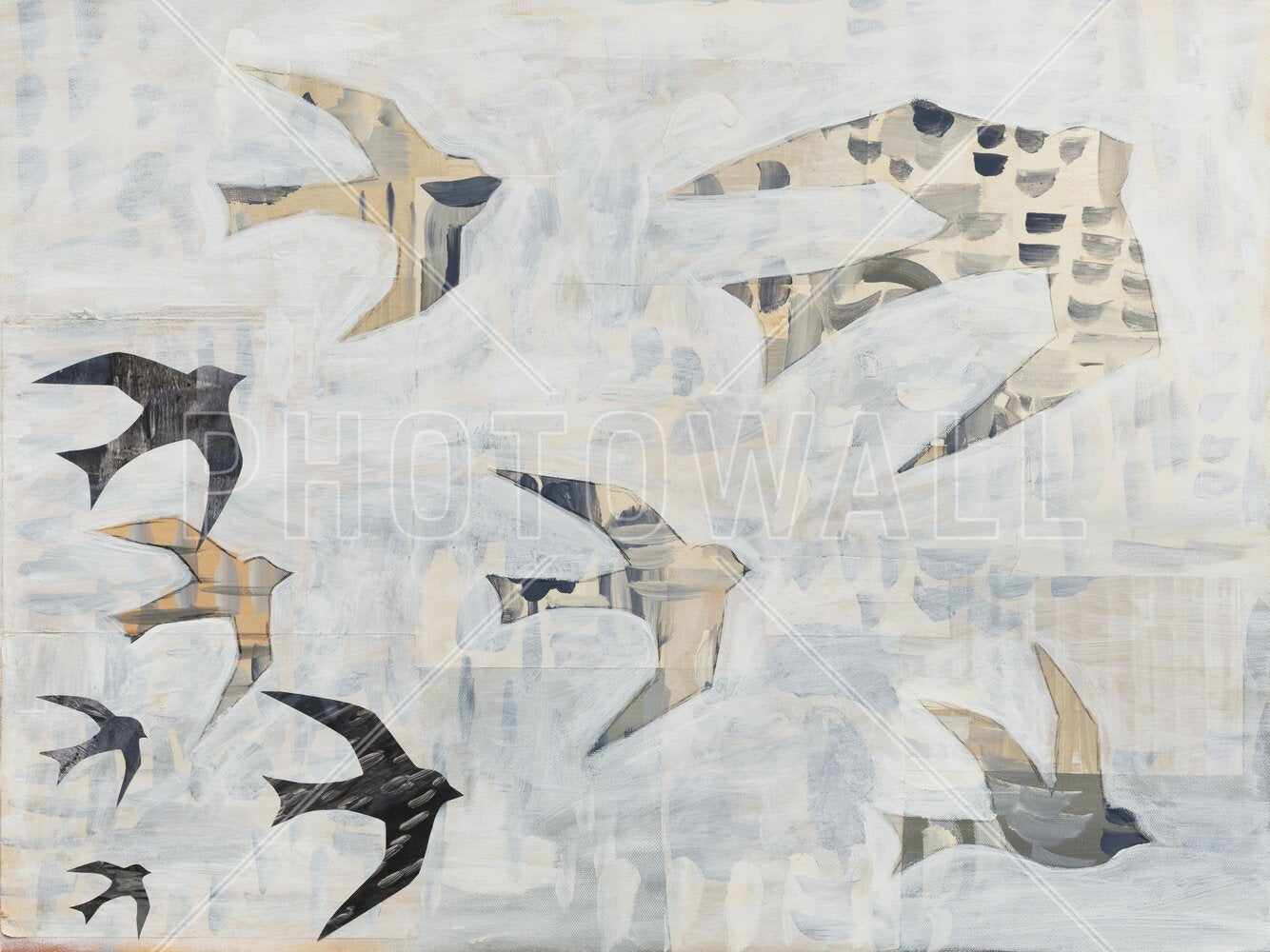 Zoom
