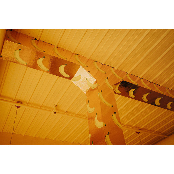 輸入壁紙 Flavor Paper / B-A-N-A-N-A-S! / Scented Copper on Copper Mylar