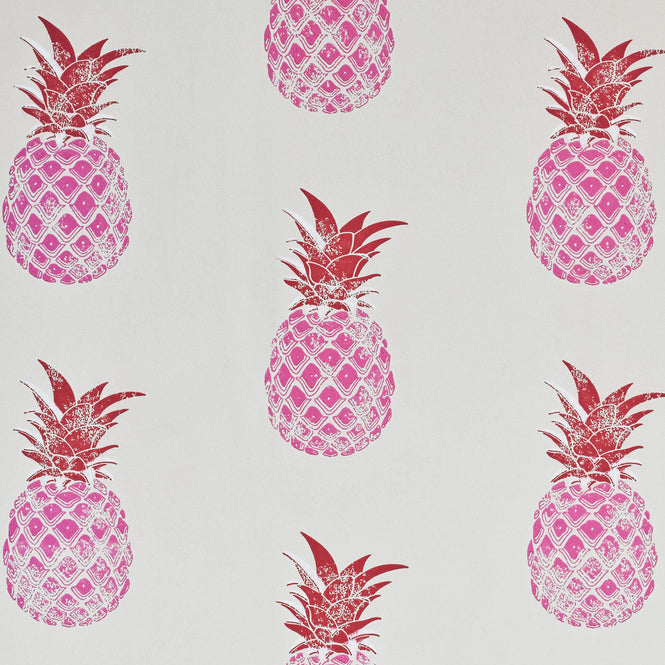 【切売m単位】Barneby Gates / WALLPAPER BOOK VOL Ⅲ / Pineapple Red/Pink BG1200201
