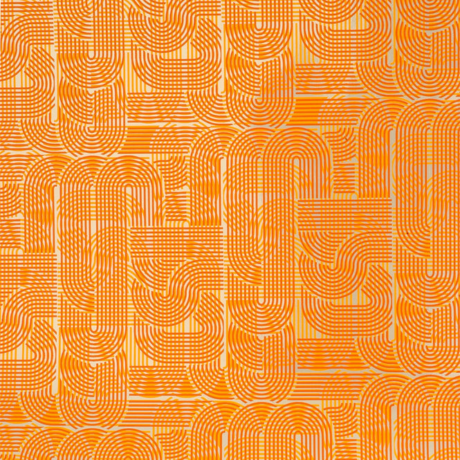 輸入壁紙 Flavor Paper / CIRCUIT / Tangerine On Silver Mylar