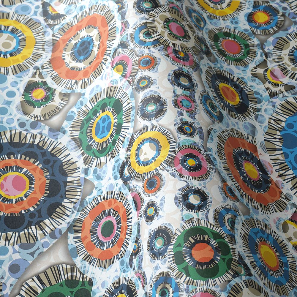 Zoom