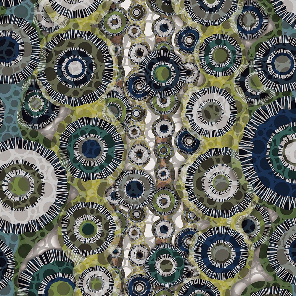Zoom