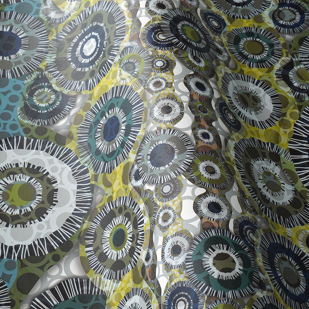 Zoom