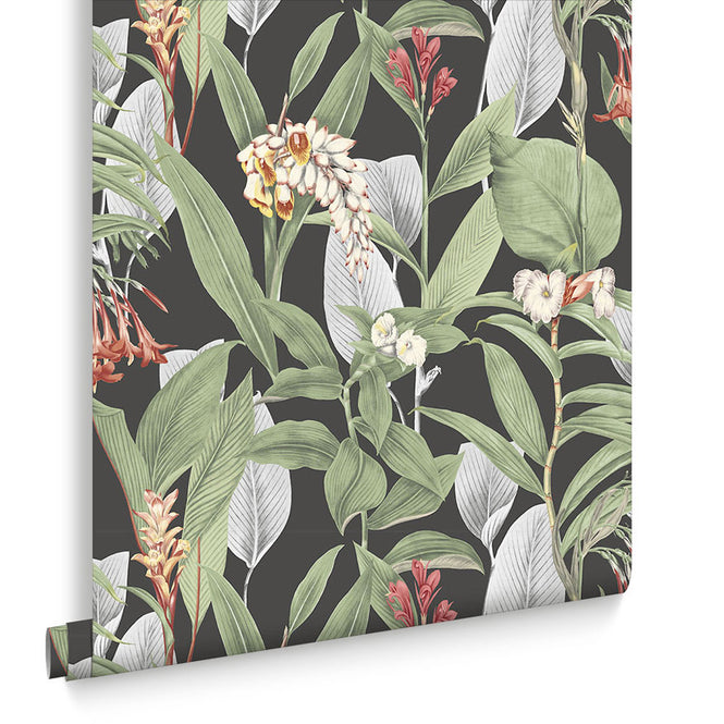 Graham & Brown / Botanical Black 103798