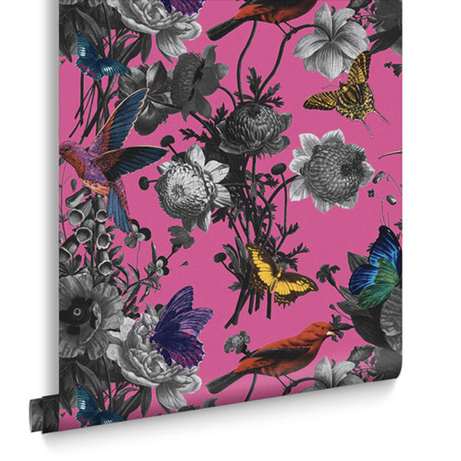 【切売m単位】Graham & Brown / CURIOSITY / 106429