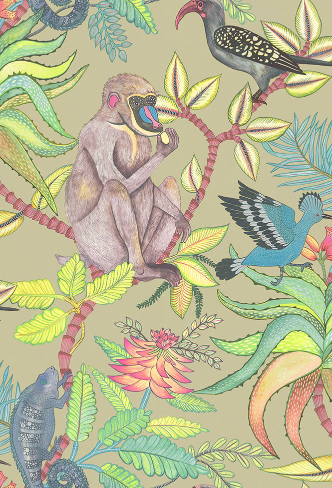 Cole&son / The Ardmore Collection / Savuti 109/1005