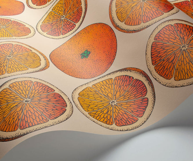 Cole&son / FORNASETTI SENZA TEMPO / ARANCE 114/24047