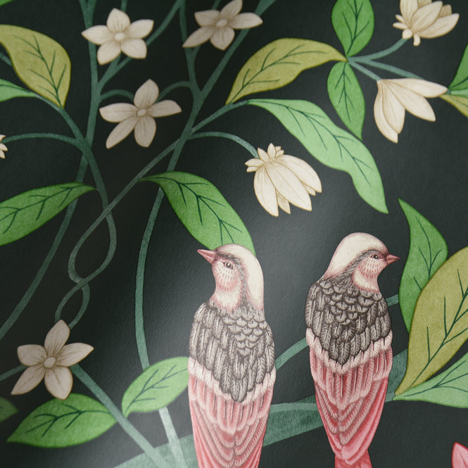 Cole&Son / SEVILLE / JASMINE & SERIN SYMPHONY 117/10028