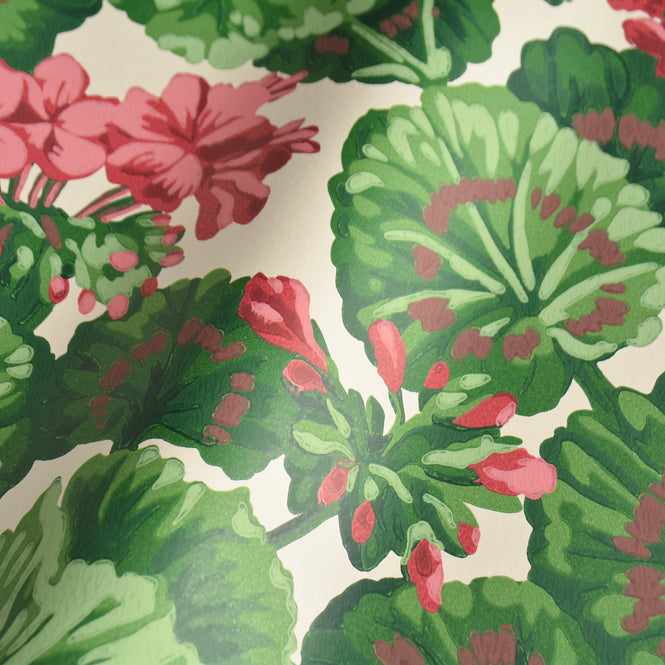 Cole&Son / SEVILLE / GERANIUM 117/11034