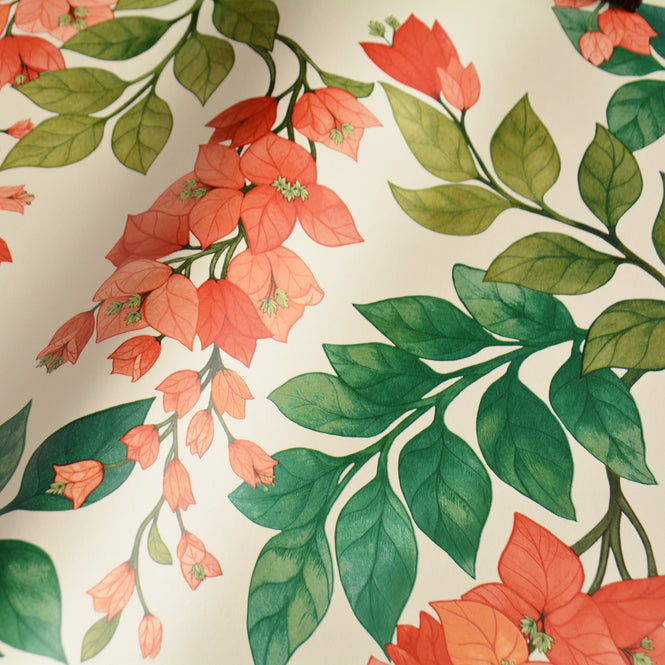 Cole&Son / SEVILLE / BOUGAINVILLEA 117/6016