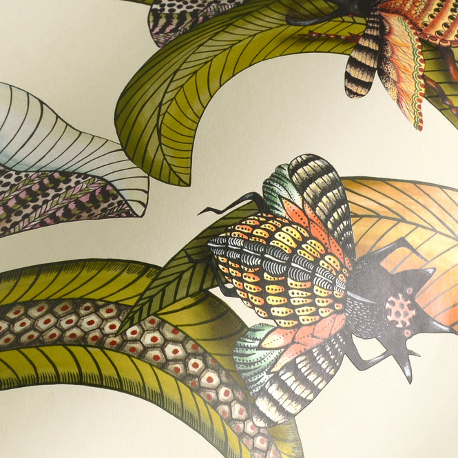 Cole&son / ARDMORE JABULA / HOOPOE LEAVES 119/1001