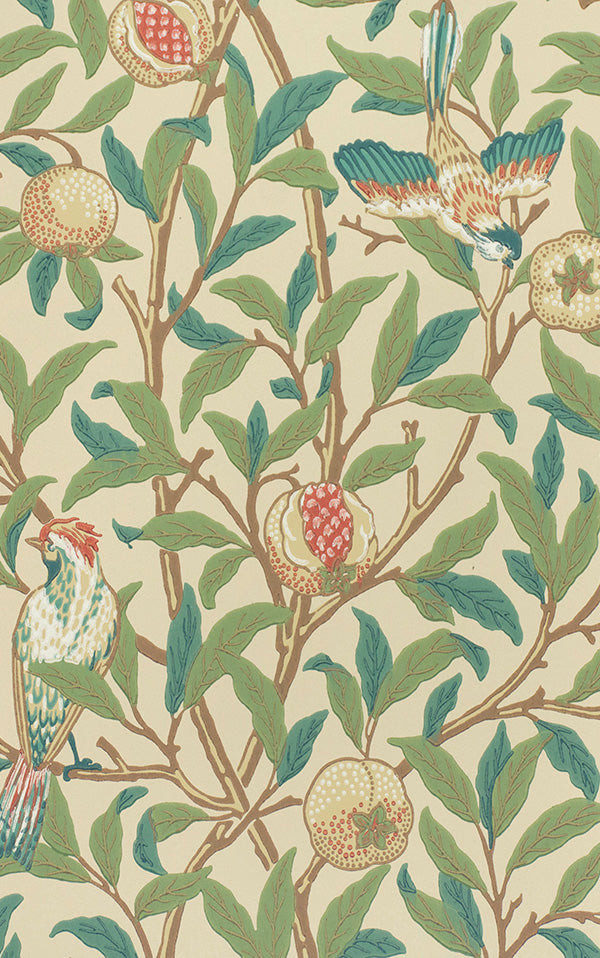 Zoom