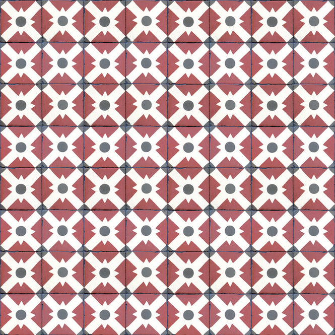 coordonne / Celosia Clay / 3000012