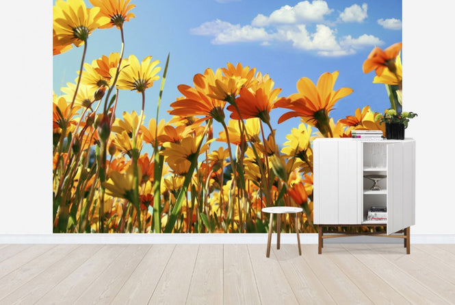 PHOTOWALL / Spring Orange and Yellow Wildflowers (e19114)