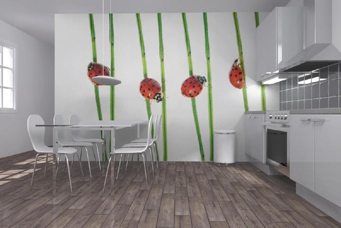 PHOTOWALL / Collection of Lady Bugs (e19132)