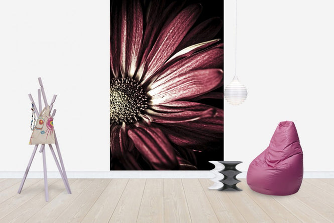 PHOTOWALL / Dark Daisy (e1972)