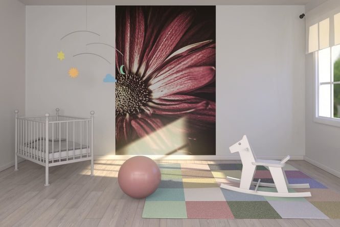 PHOTOWALL / Dark Daisy (e1972)