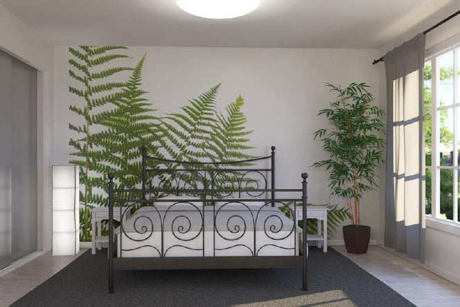 PHOTOWALL / Ferns (e6228)