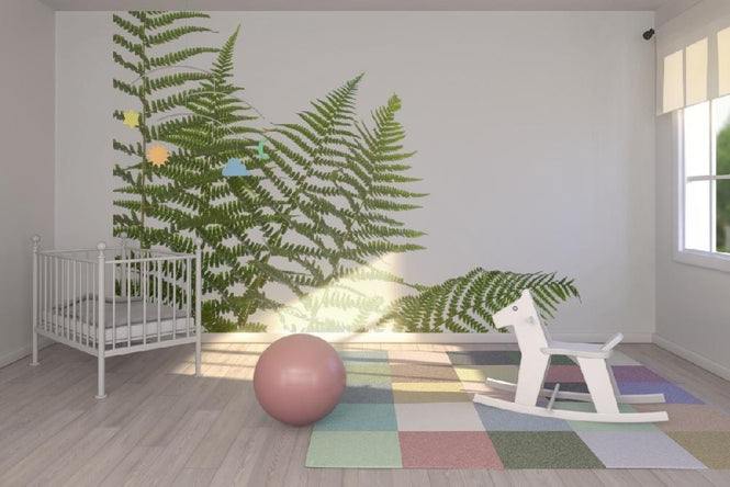 PHOTOWALL / Ferns (e6228)