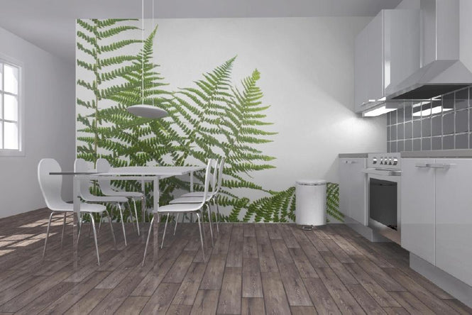 PHOTOWALL / Ferns (e6228)