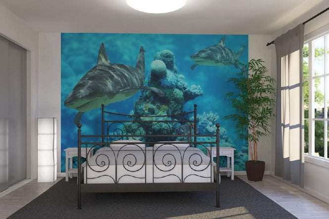 PHOTOWALL / Shark Bommie (e6315)