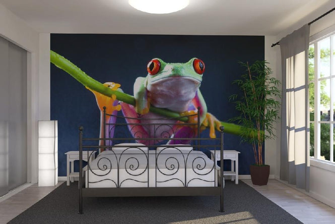 PHOTOWALL / Red frog (e9009)