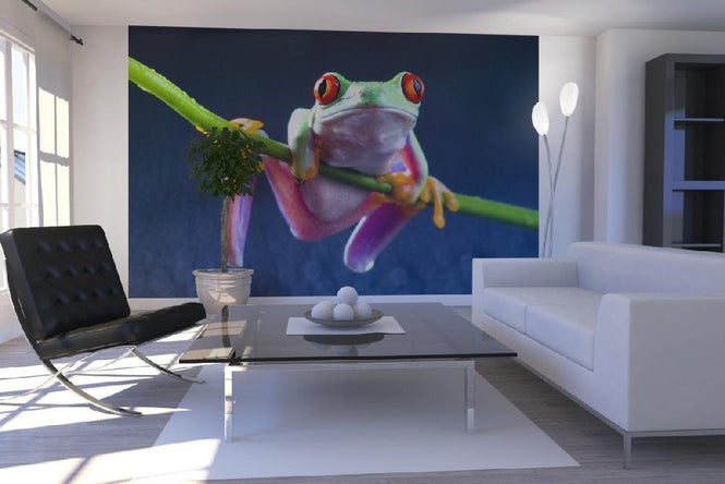 PHOTOWALL / Red frog (e9009)