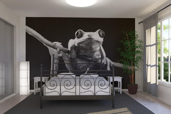 PHOTOWALL / Red Frog - b/w (e9035)