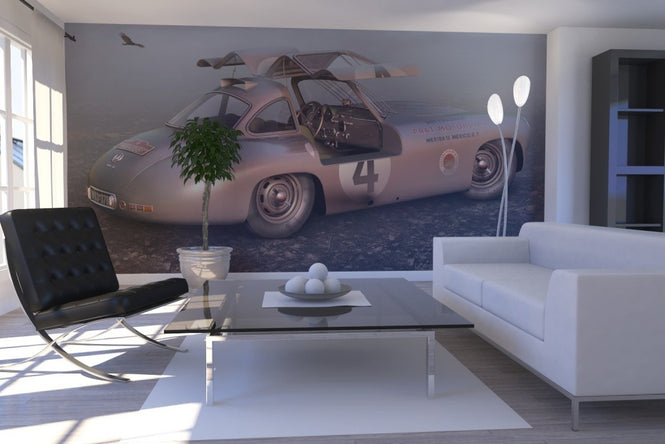 PHOTOWALL / Winning 300SLR and Buzzard (e12015)