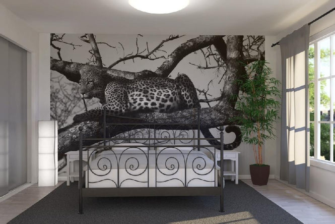 PHOTOWALL / Leopard in Tree (e10005)