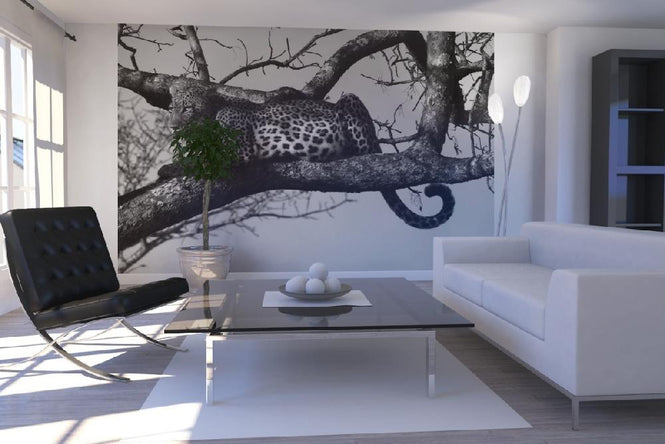 PHOTOWALL / Leopard in Tree (e10005)