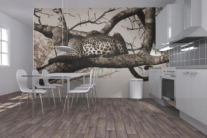 PHOTOWALL / Leopard in Tree (e10006)