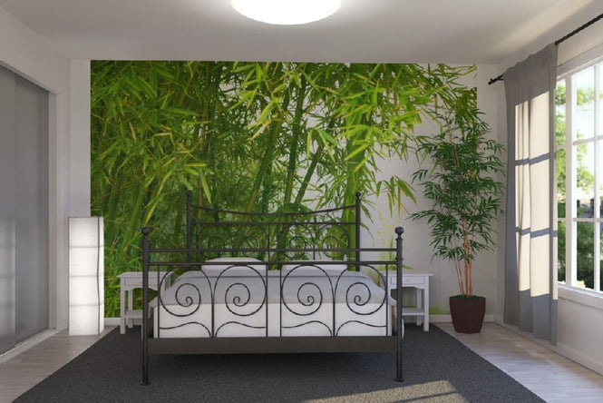 PHOTOWALL / Beautiful Bamboo (e10061)