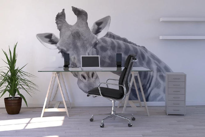 PHOTOWALL / Giraffe (e10076)