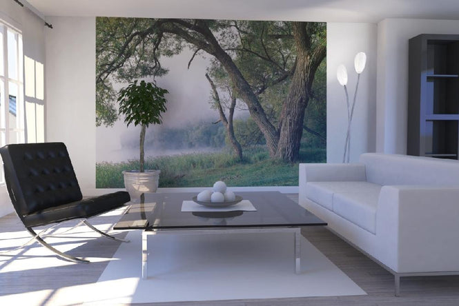 PHOTOWALL / Tree in a Fog (e10077)