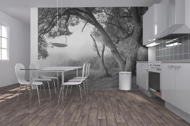 PHOTOWALL / Tree in a Fog (e10078)