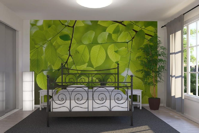 PHOTOWALL / Yellow Wood Green Leaves (e10081)