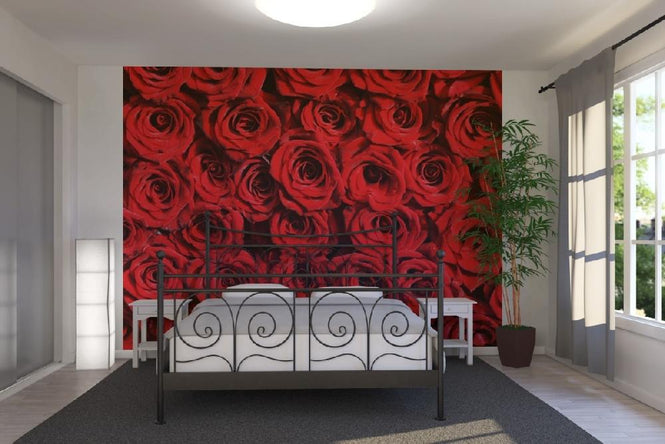 PHOTOWALL / Red roses (e10118)