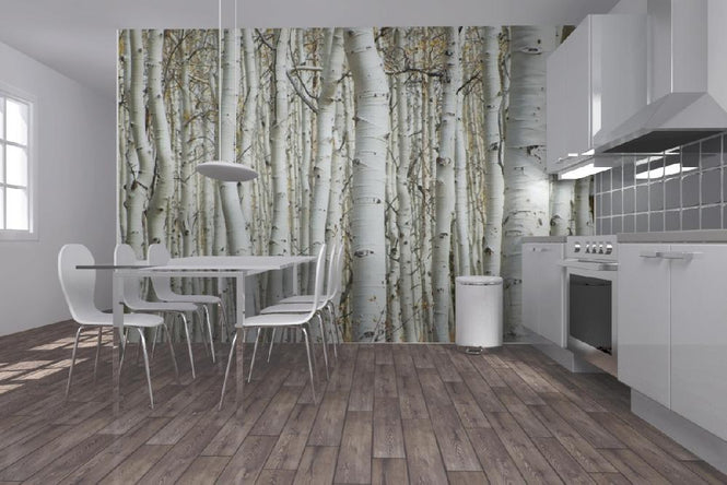 PHOTOWALL / Aspen Forest (e1386)