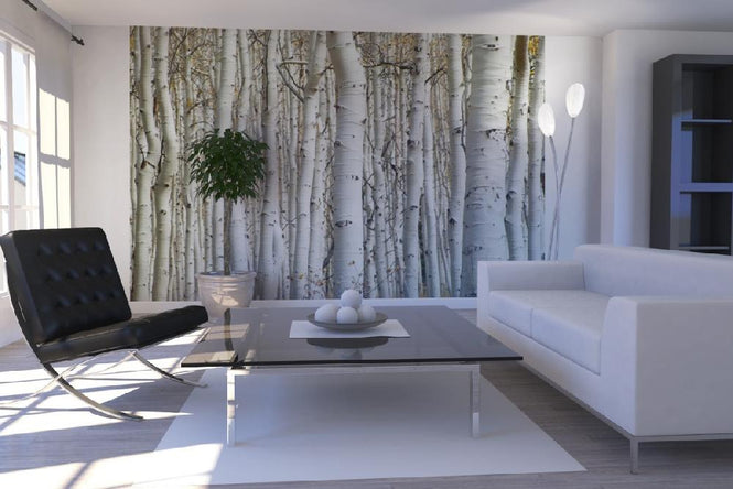 PHOTOWALL / Aspen Forest (e1386)