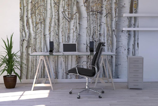 PHOTOWALL / Aspen Forest (e1386)