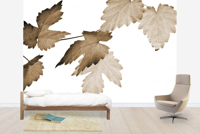 PHOTOWALL / Dancing Autumn Leaves (e1404)